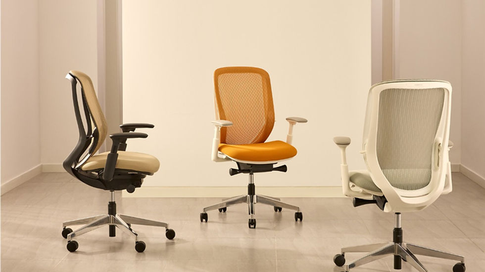 Good ergonomic chair Sylphy with a sleek design and flexible adjustability for the modern office
