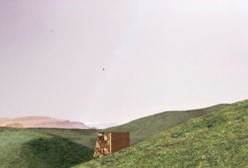 Proyecto Primavera Siglo XXII. 2015
