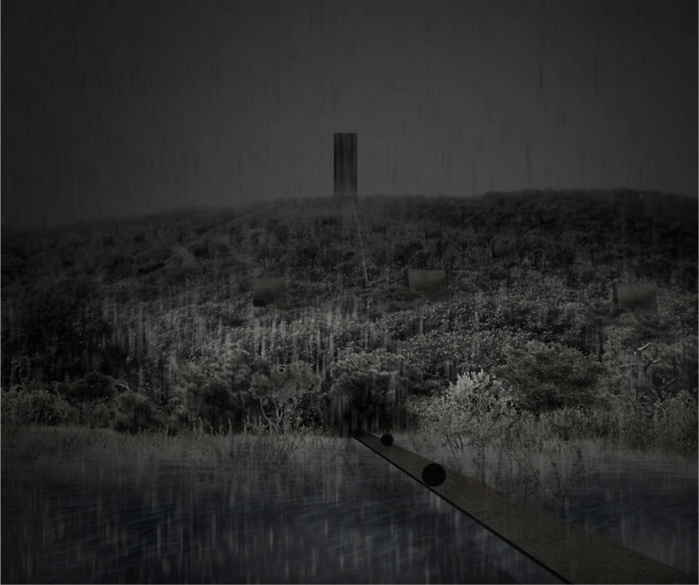 Proyecto Primavera Siglo XXII. 2015