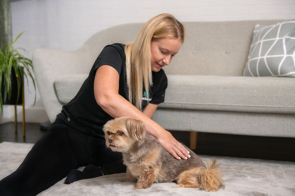 Why I Created an Online Dog Massage Course for Owners