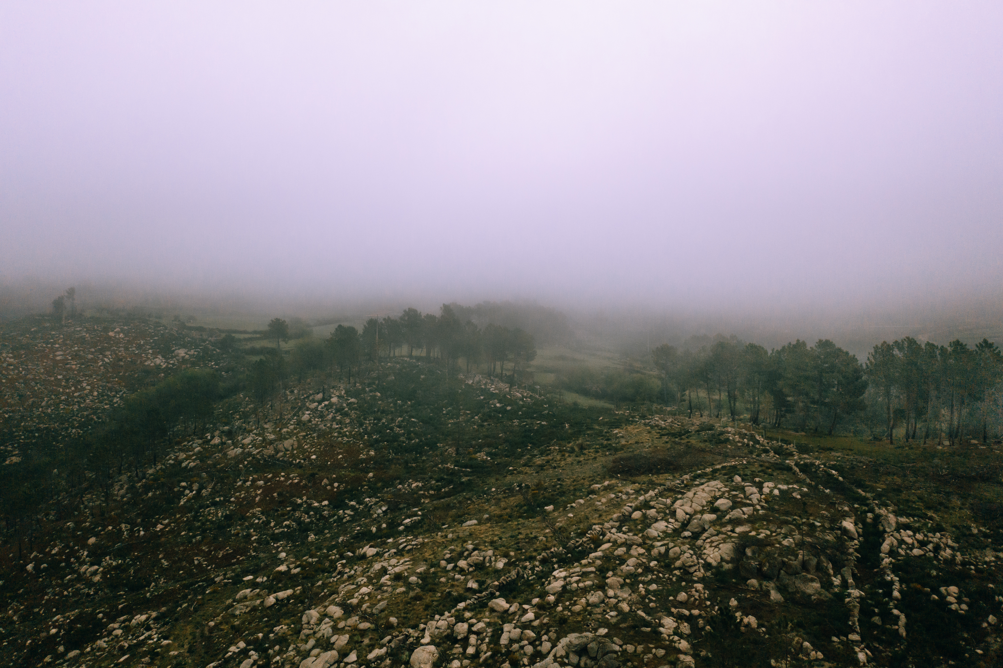 20200313-DJI_0290-Aerials_Fying Cousteau