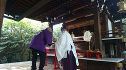 地元おうえん隊