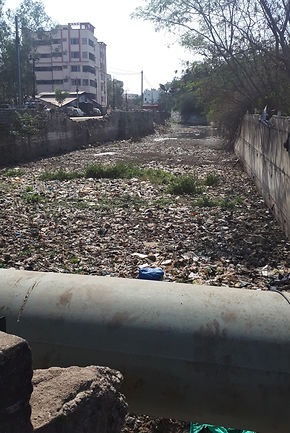 Rubbish 1.jpg