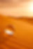 f755dc48a57113160bbdecce527422d2.jpg