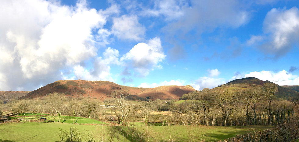Cambrian Mountains