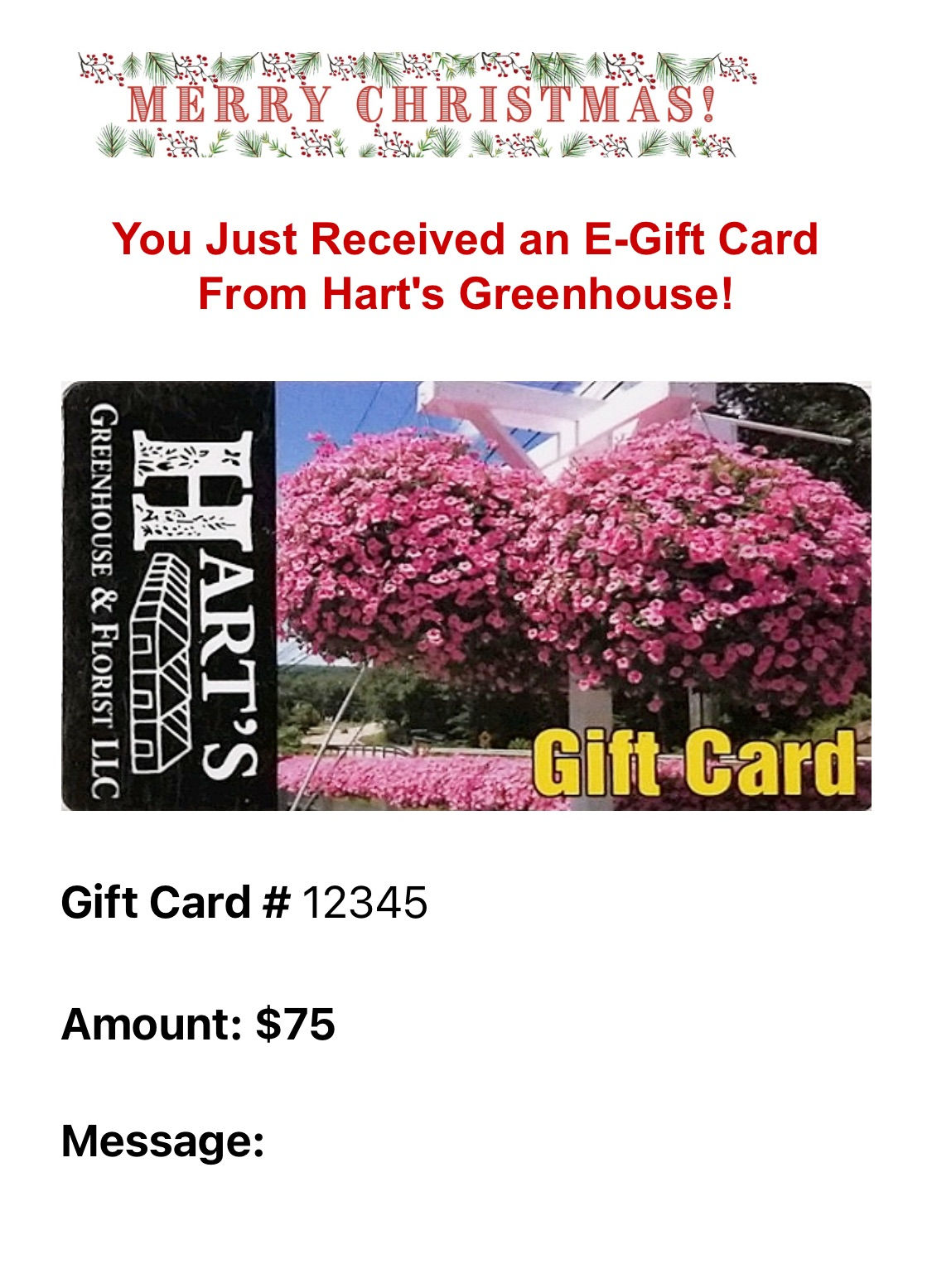 Christmas $75 Hart's E-Gift Card