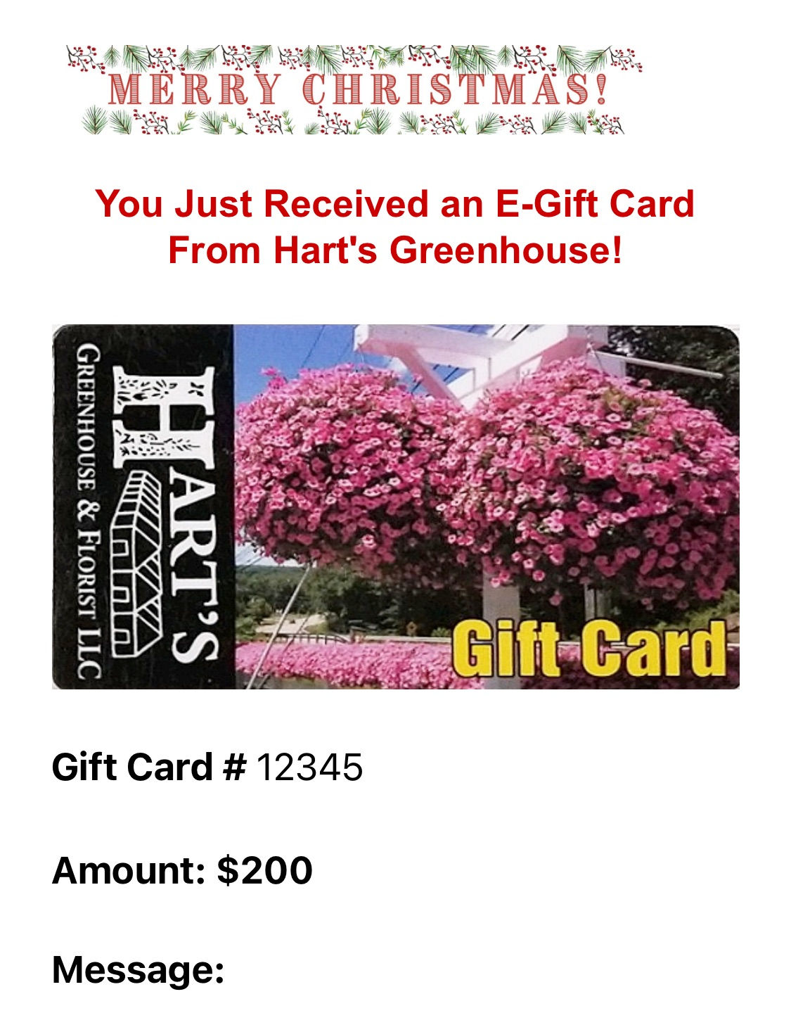 Christmas $200 Hart's E-Gift Card