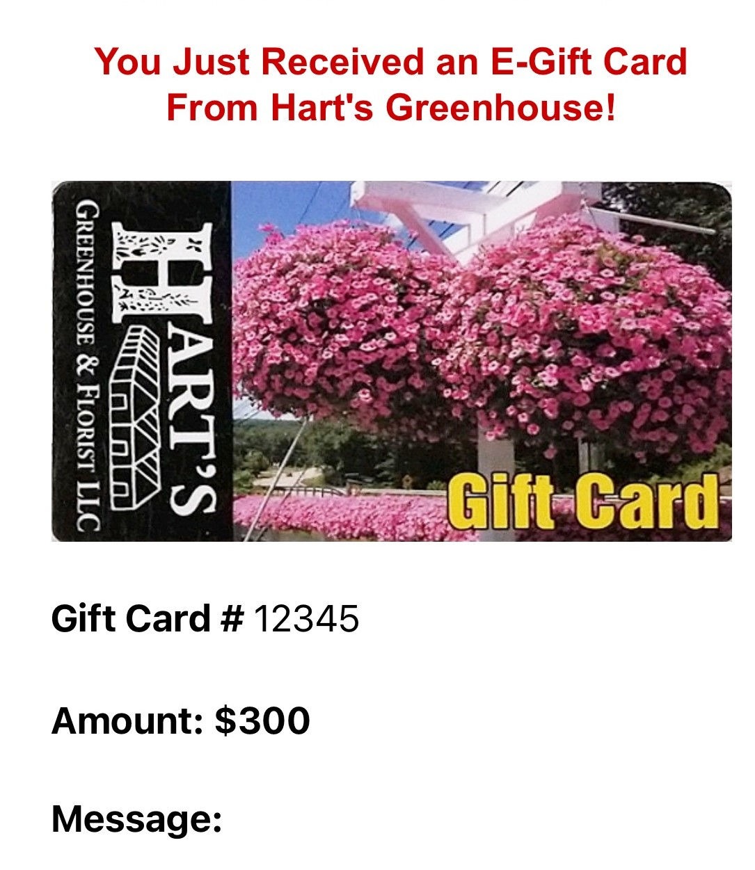 $300 Hart's E-Gift Card