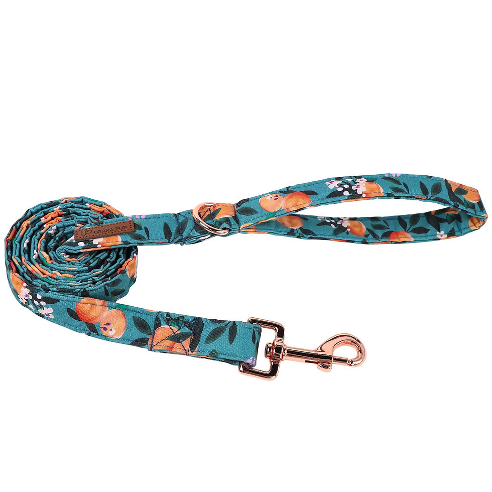 Thumbnail: UP URARA PUP Peach Cotton Dog Leash – XS – Open Box/New