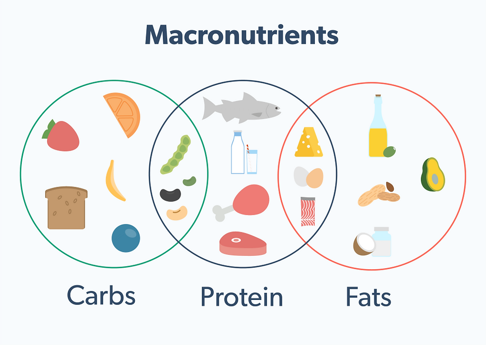 calories in food