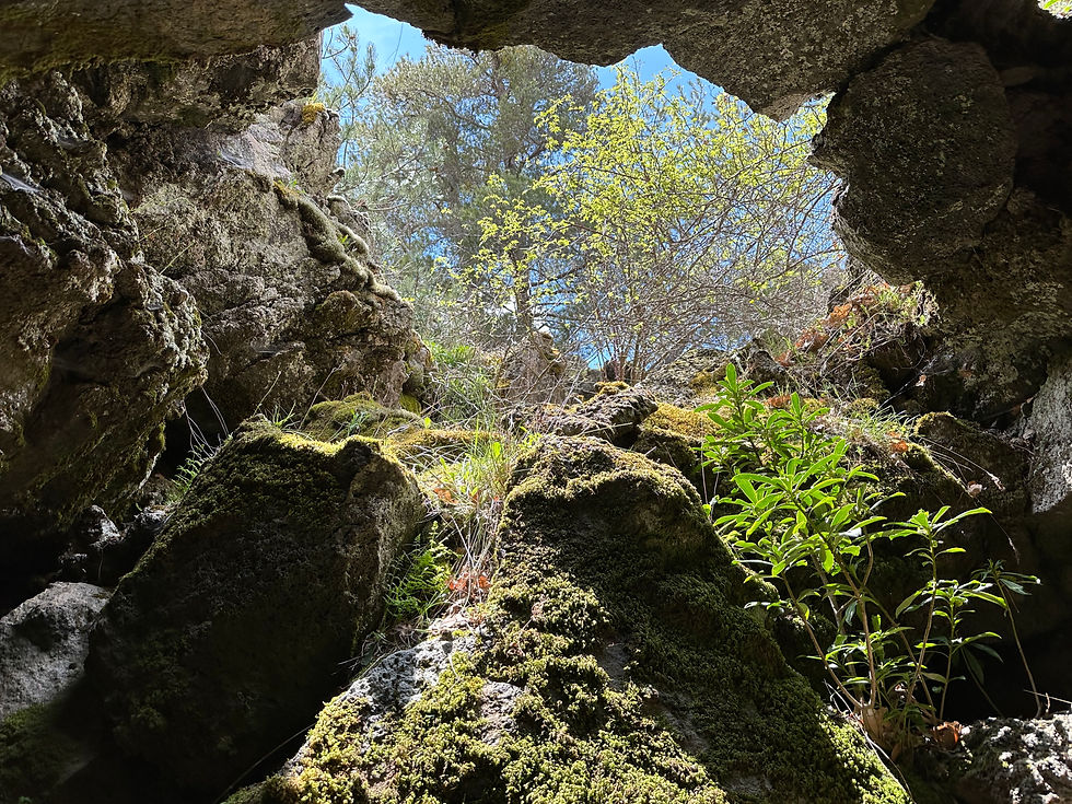 Lava tube. Plenty of caves on Sicily, too!