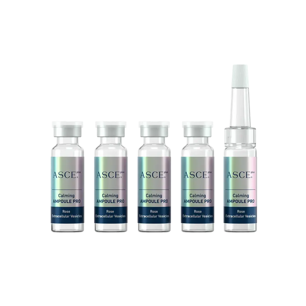 縮圖：ASCE+ Calming AMPOULE PRO 玫瑰外泌體安瓶