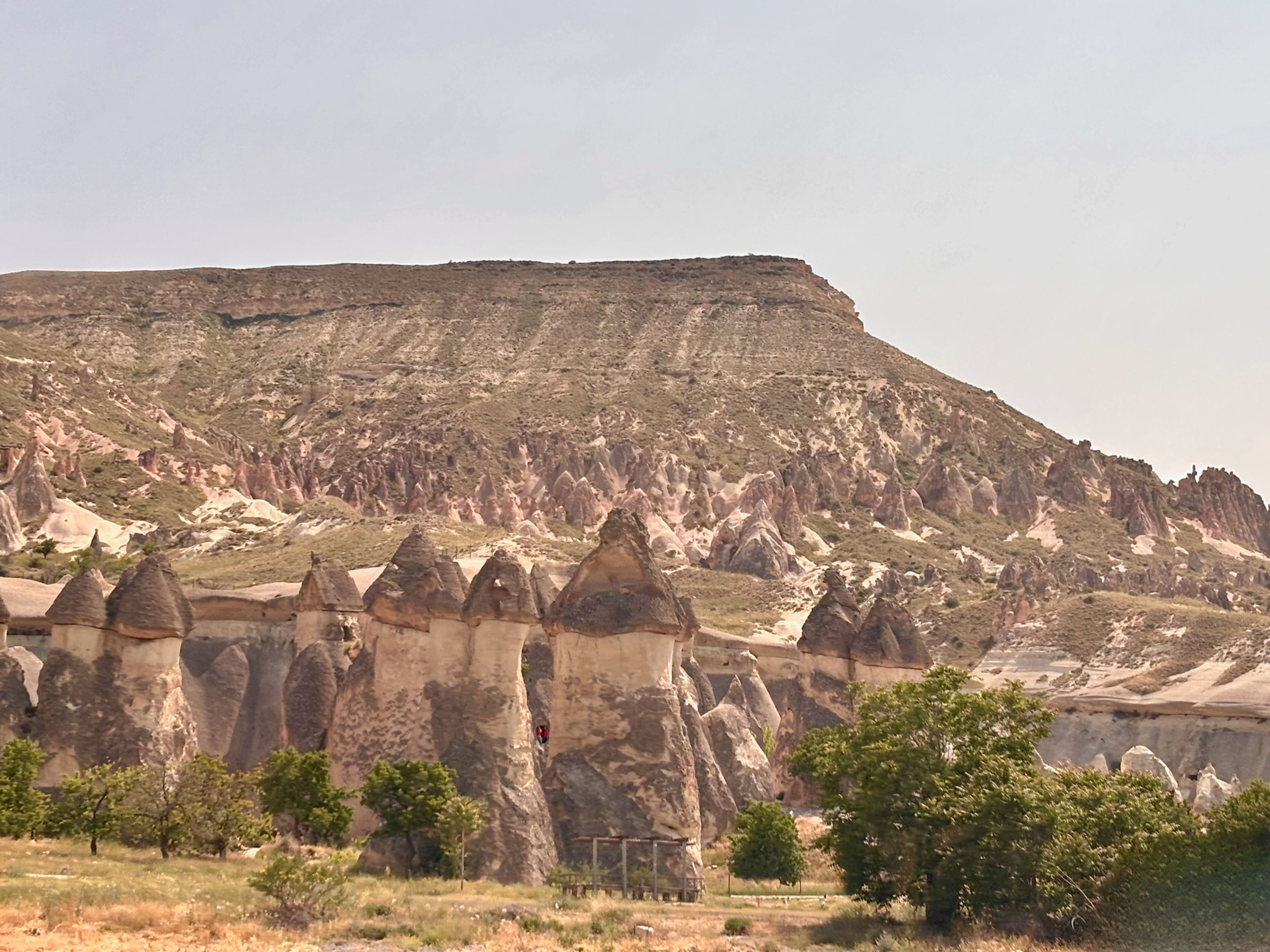 Fairy Chimneys – Pasabag Valley, Cappadocia