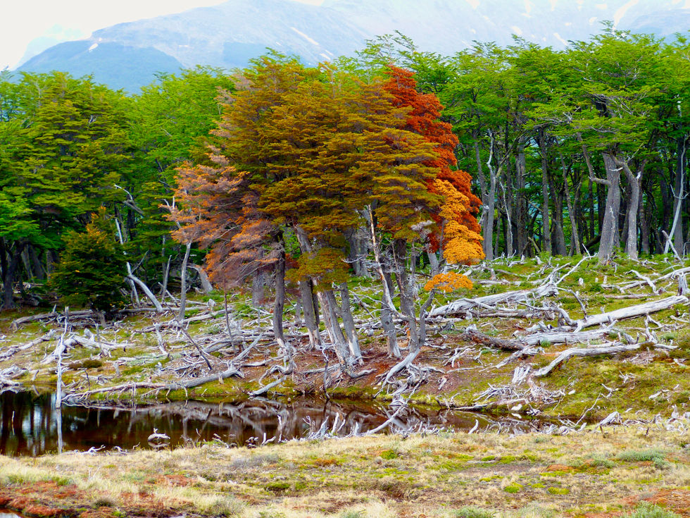 Ushuaia - 23.jpeg