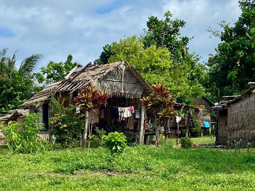 village view