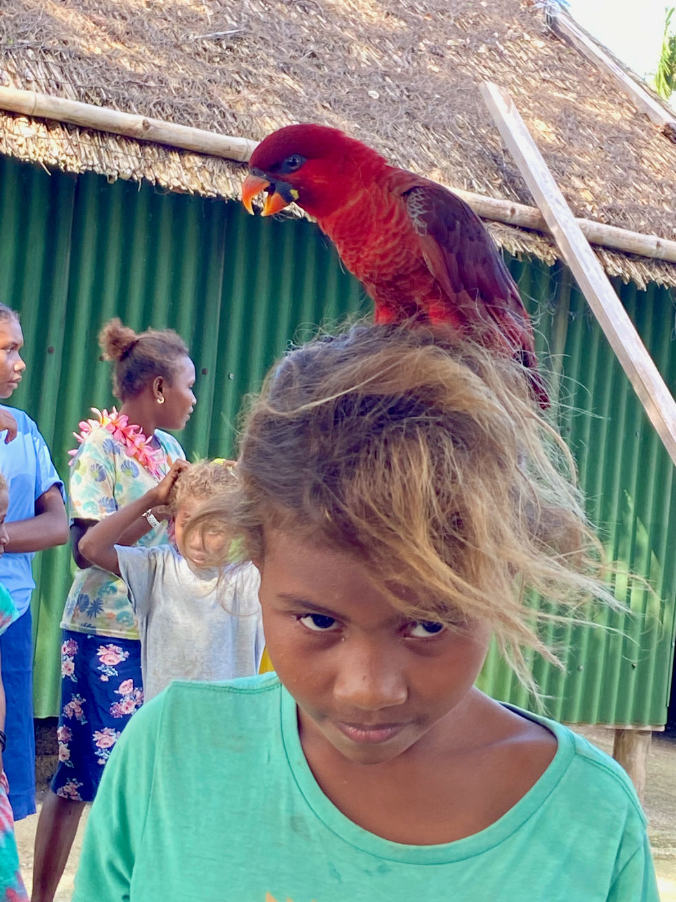 a little local girl with a parrot