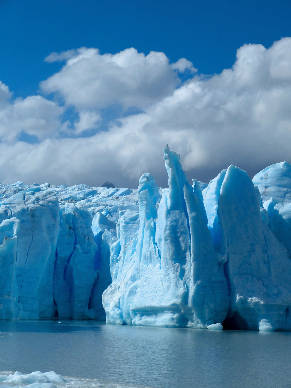 Grey lake and Grey Glacier - 150.jpeg
