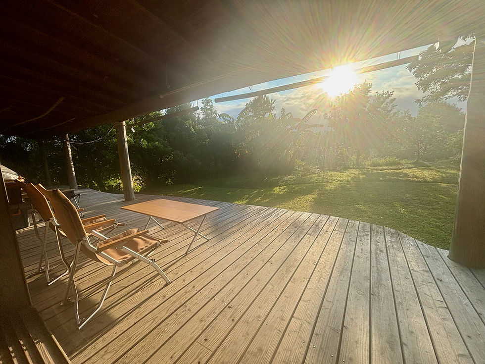 Final Moments in Yakushima Island