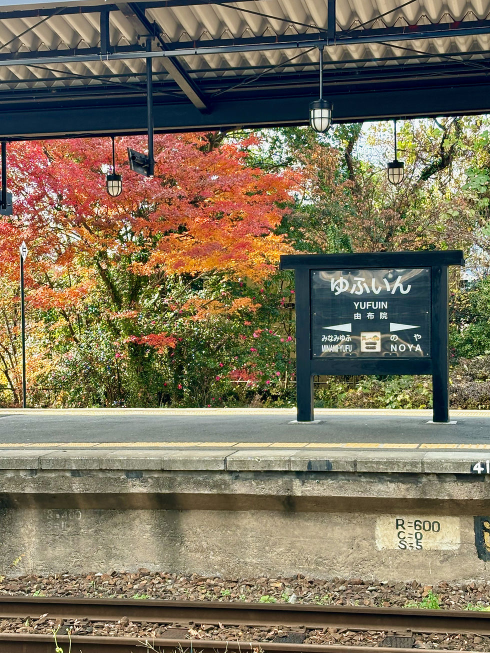 Riding the Yufuin no Mori Train