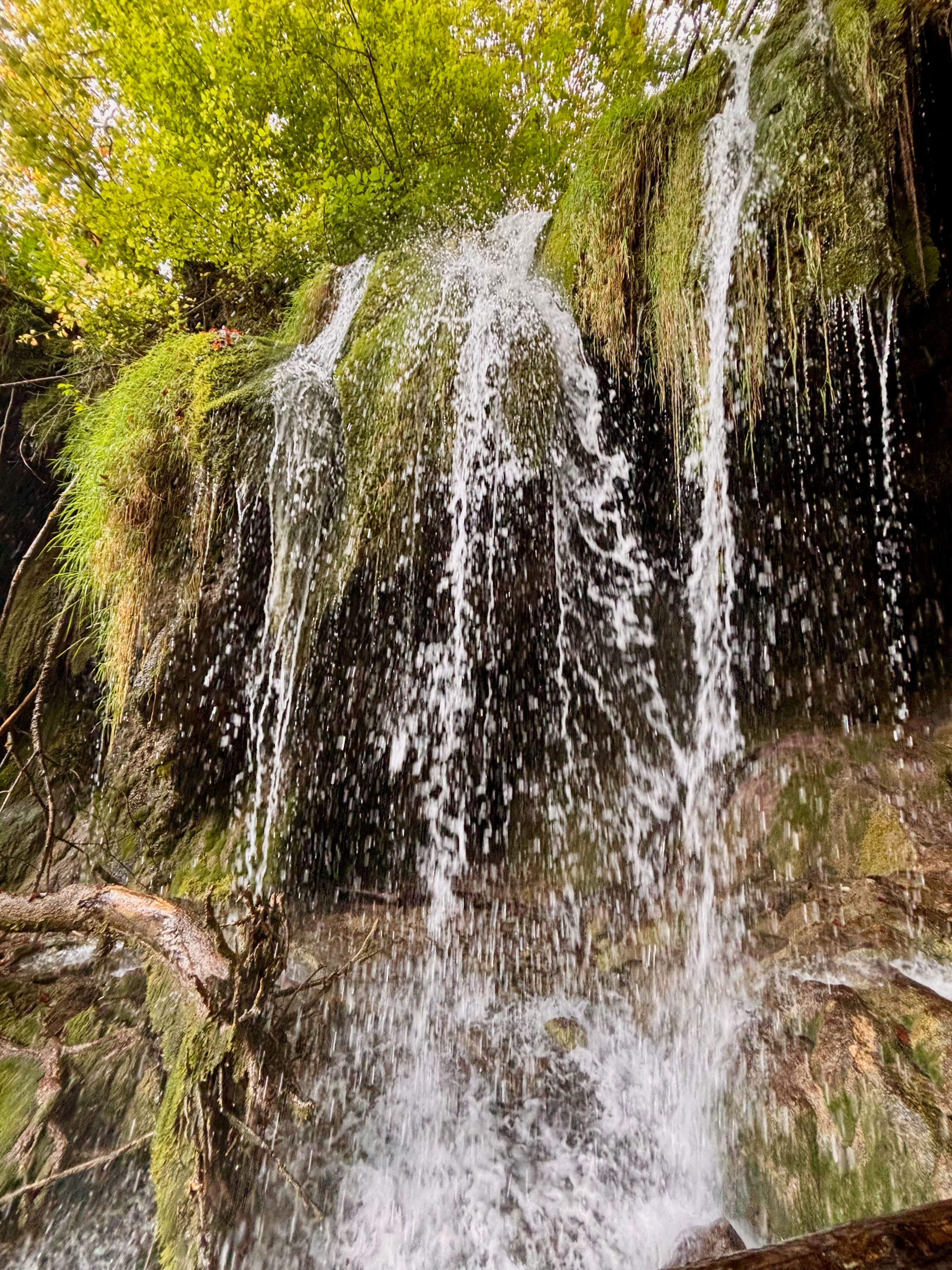 Flow of Life – Plitvice Lakes National Park