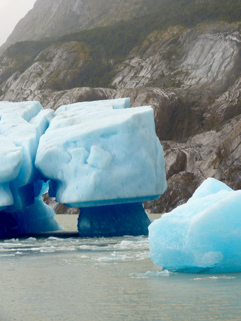 Grey lake and Grey Glacier - 045.jpeg