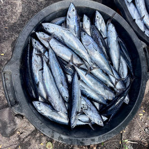 Everyday life in Bali