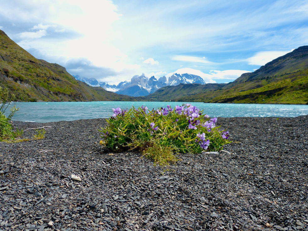 Torres del Paine - 076.jpeg