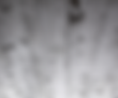Wood Ceiling.png