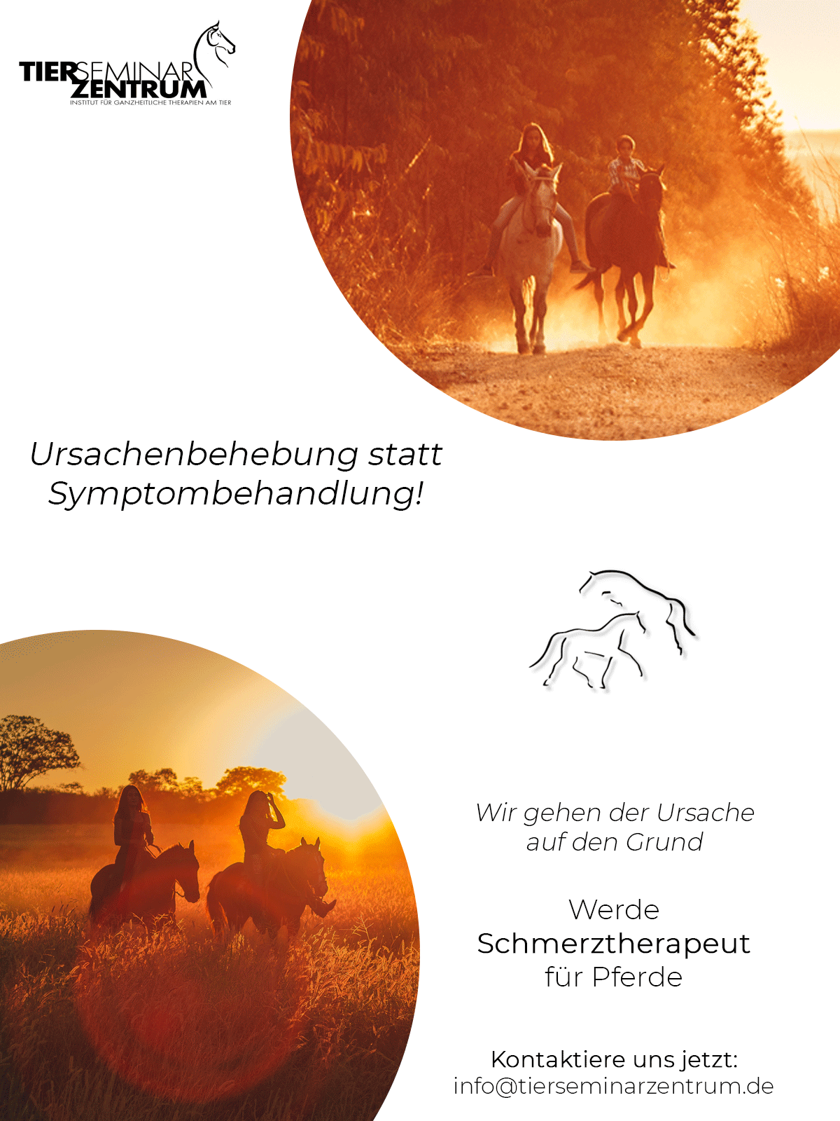 Tierseminarzentrum_WebsiteBanner_Schmerz