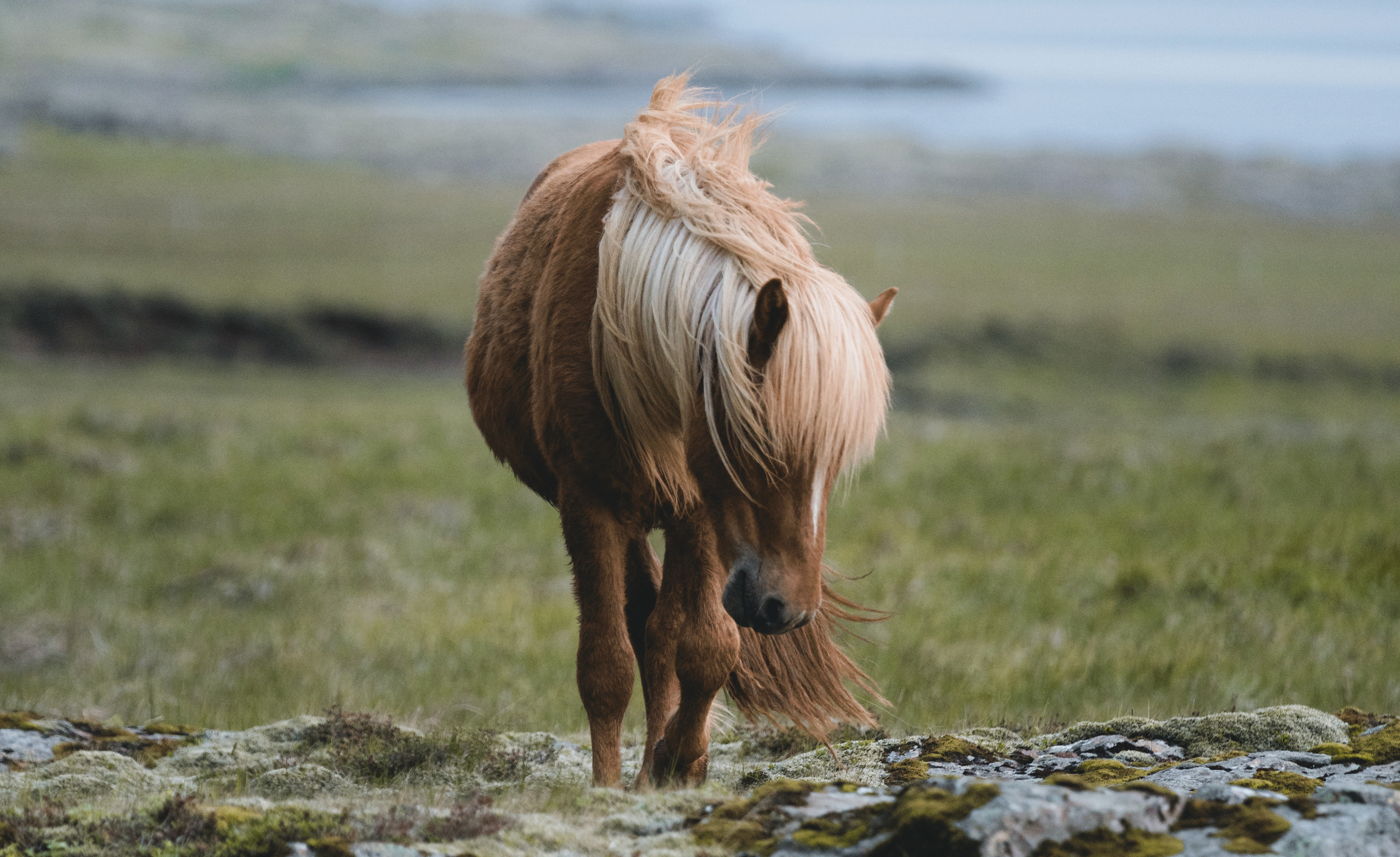 Tierseminarzentrum_Website_Kontakt.gif