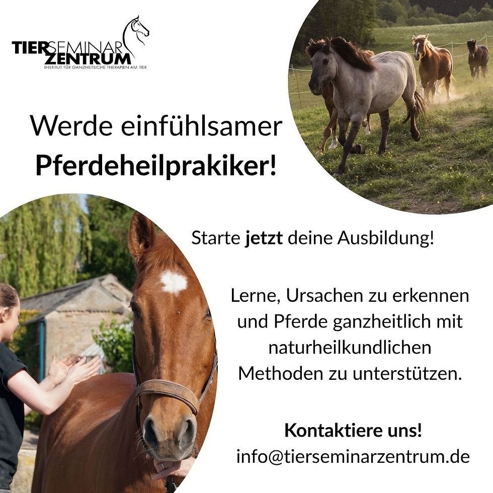 Ausbildung: Tierheilpraktiker / Pferdeheilpraktiker – Start im Frühling 2026