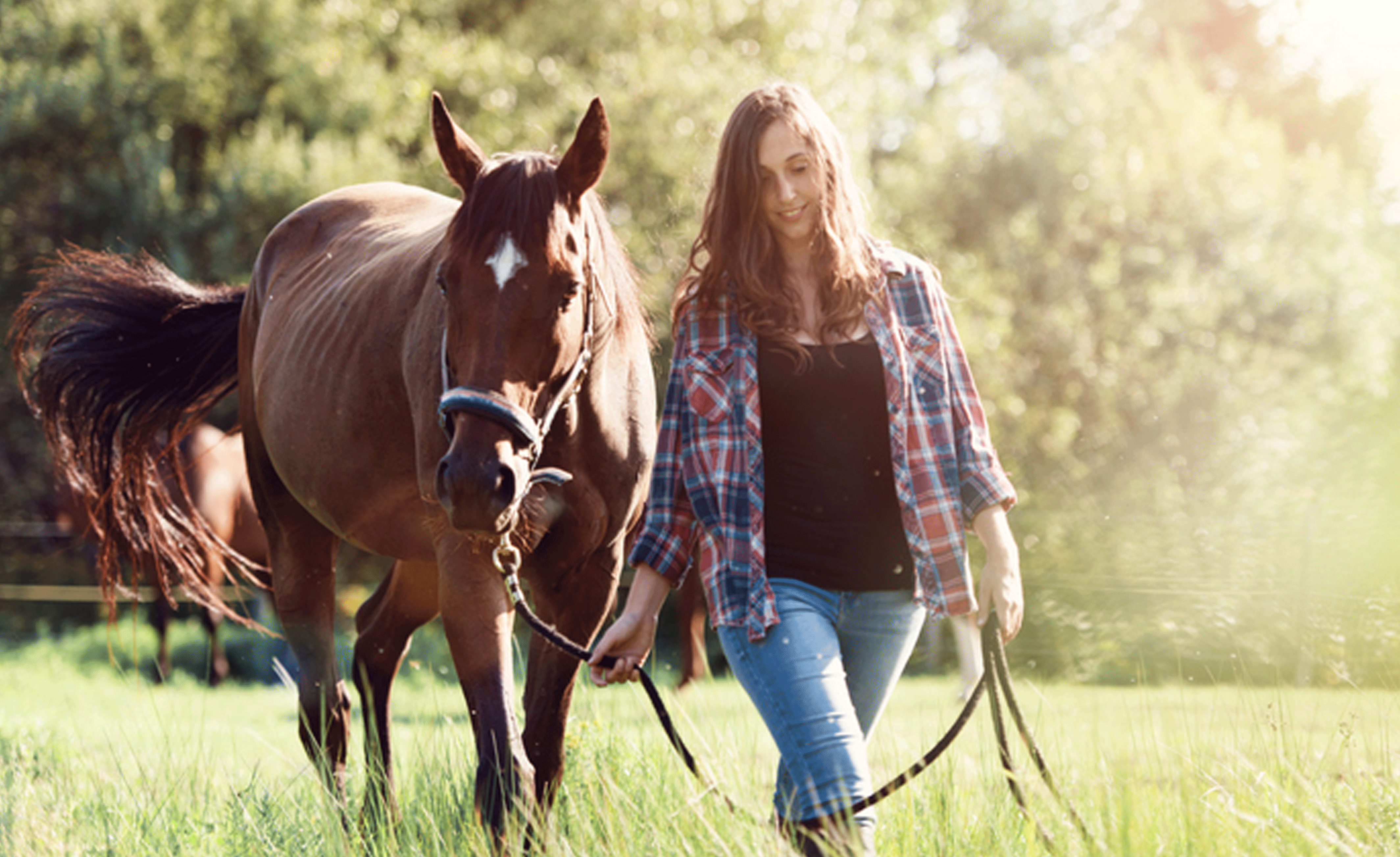 Tierseminarzentrum_Website_Coaching.gif