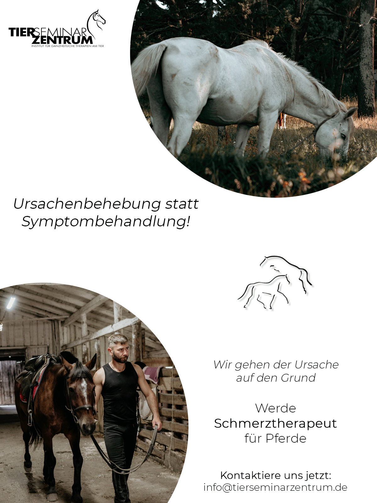Tierseminarzentrum_WebsiteBanner_Schmerz