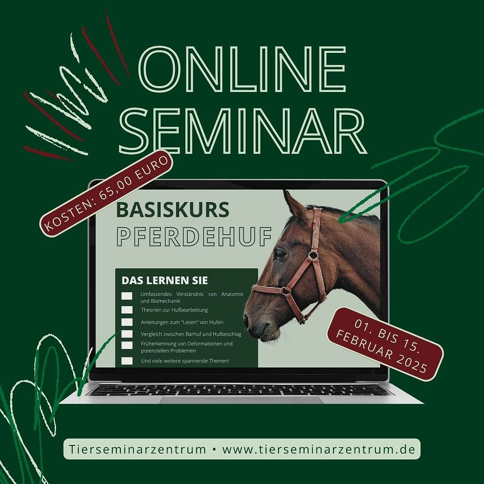ONLINE - "Basiskurs Pferdehuf"