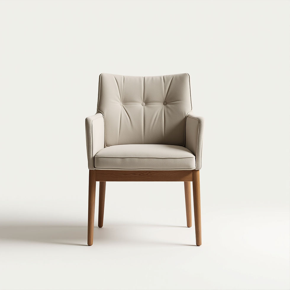 Modern Dining Chair
