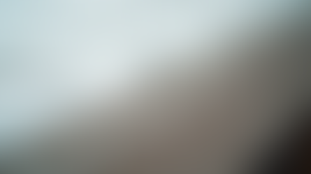 Effective Bed Bug Prevention Strategies for Your Home