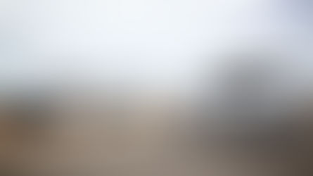 It’s July in Arizona… and the Bugs Are Out to Party 🐜☀️