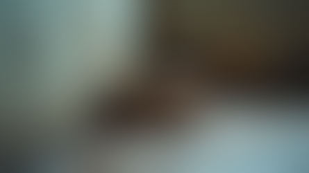 Professional Rodent Control Services to Protect Your Property