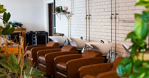 Little Birdie Hair Co - Wynnum Salon Basin Area with Plants