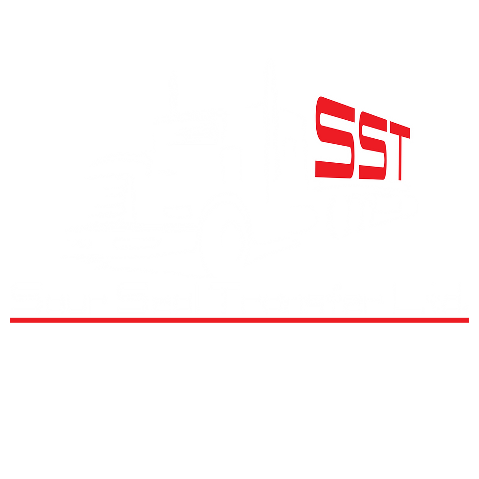 Untitled design (3).png