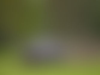 Onni Järvinen ja Aleksi Marttila luokkansa 3. F-cupin kesäkauden avauksessa Hankasalmella