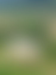 “What are your best memories of growing up?”