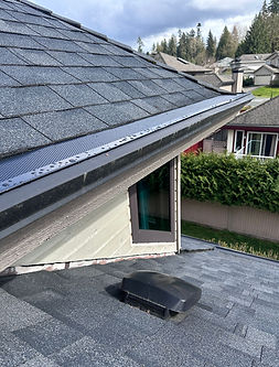 HIDDEN GUTTER LEAF GUARD