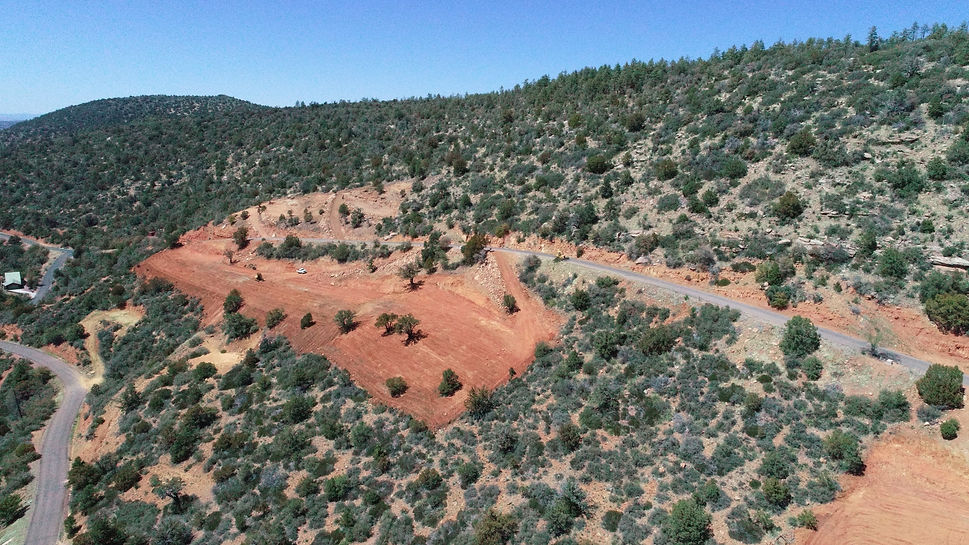 Tomahawk Rd Strawberry.JPG