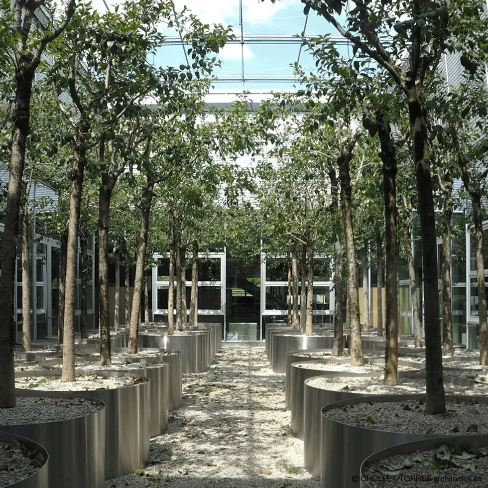 Image_UNIL_3