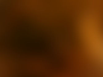 Ayurvedic Fall Reset: How to Rebalance Your Skin, Energy & Nervous System This Season