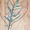 Thumbnail: Kelp and Mussels