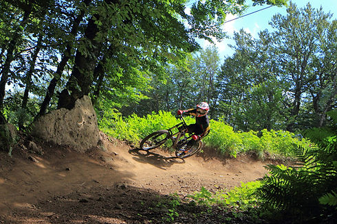 stage avec miniteur de vtt de descente dh près de chalmazel dans La Loire 42 Le Puy de Dome 63... Déplacements Montbrison Ambert Saint Etienne Clermont Ferrand Issoire.