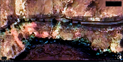 Screenshot 2025-12-07 at 6.47.49 PM