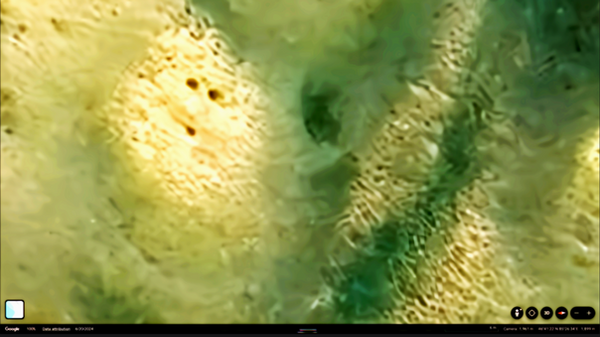 Screenshot 2026-01-02 at 3.06.43 AM.png